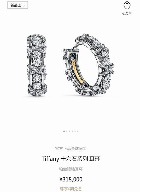 Tiffany earring 10yxx06 (1)