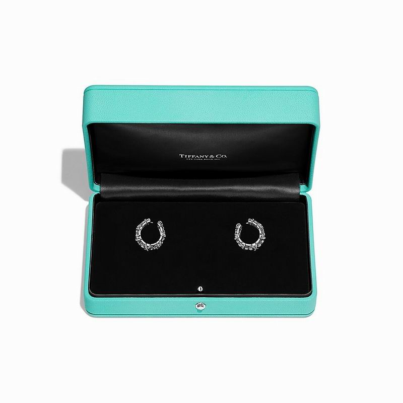 Tiffany earring 10yxx06 (10)