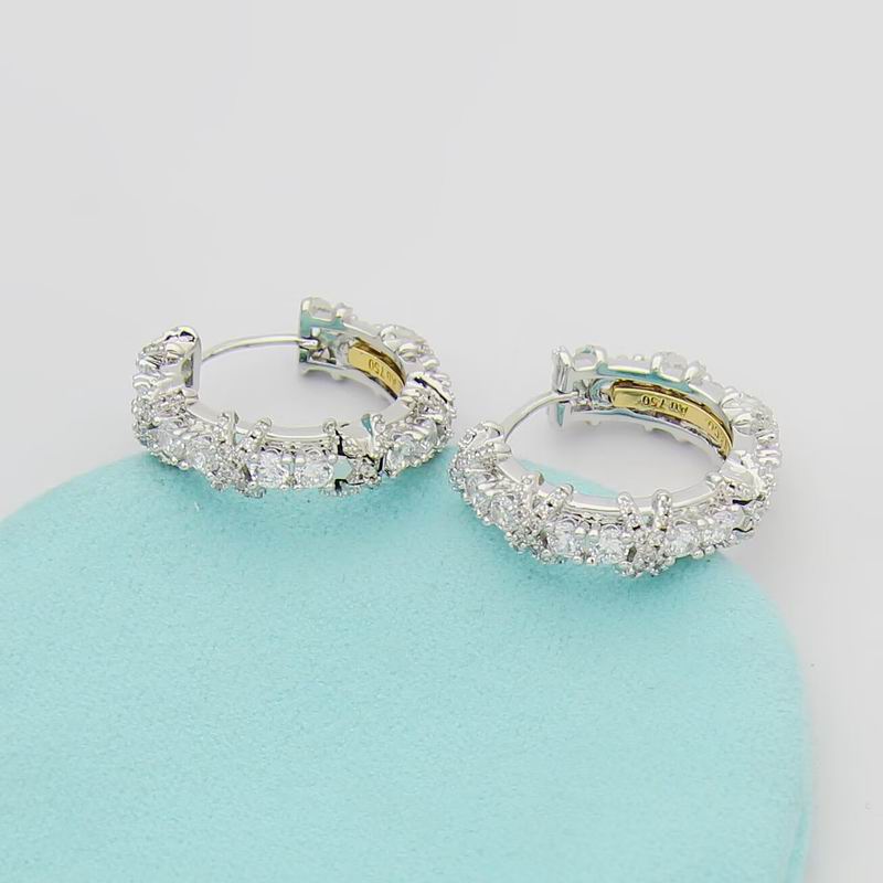 Tiffany earring 10yxx06 (4)