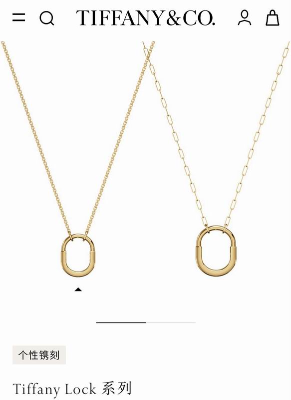 Tiffany necklace 10yxx130 (6)