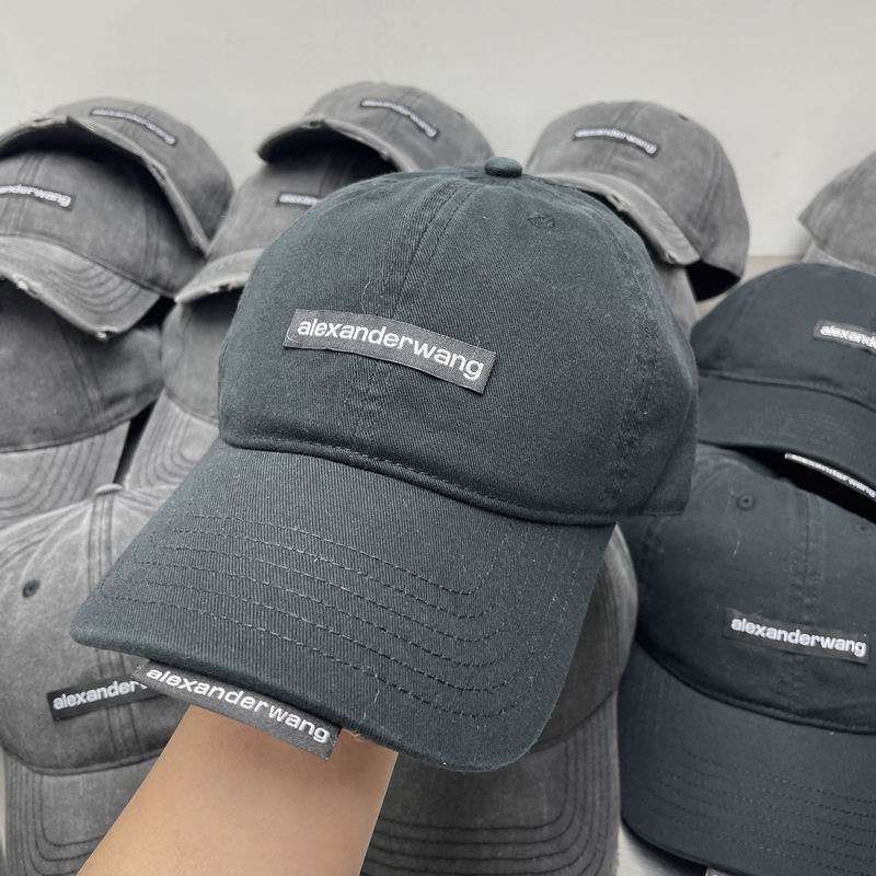 Alexander Wang cap dx (275)
