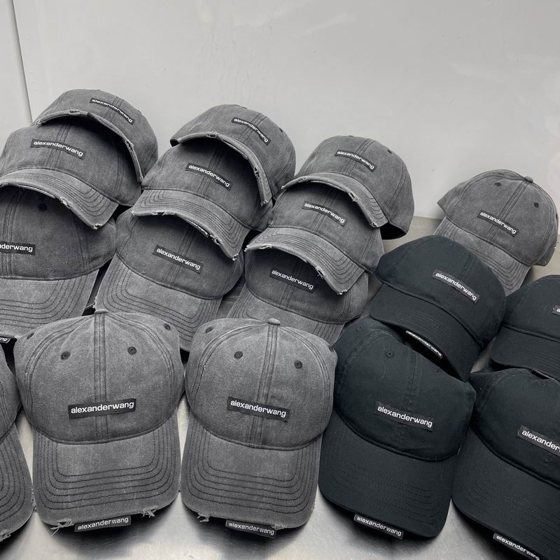 Alexander Wang cap dx (276)