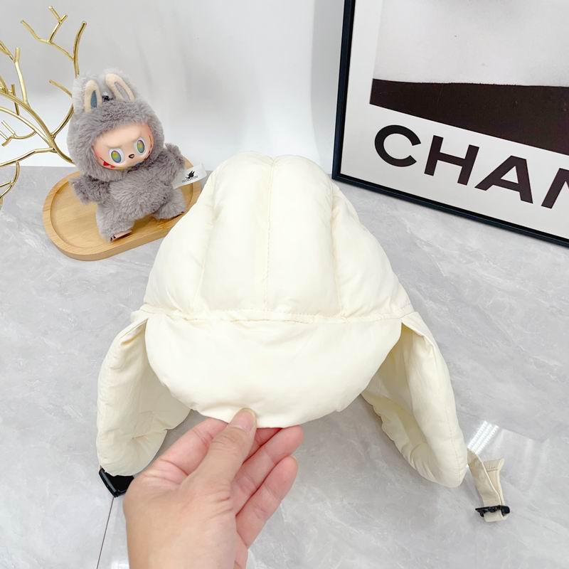 Arcteryx Hat dx (351)