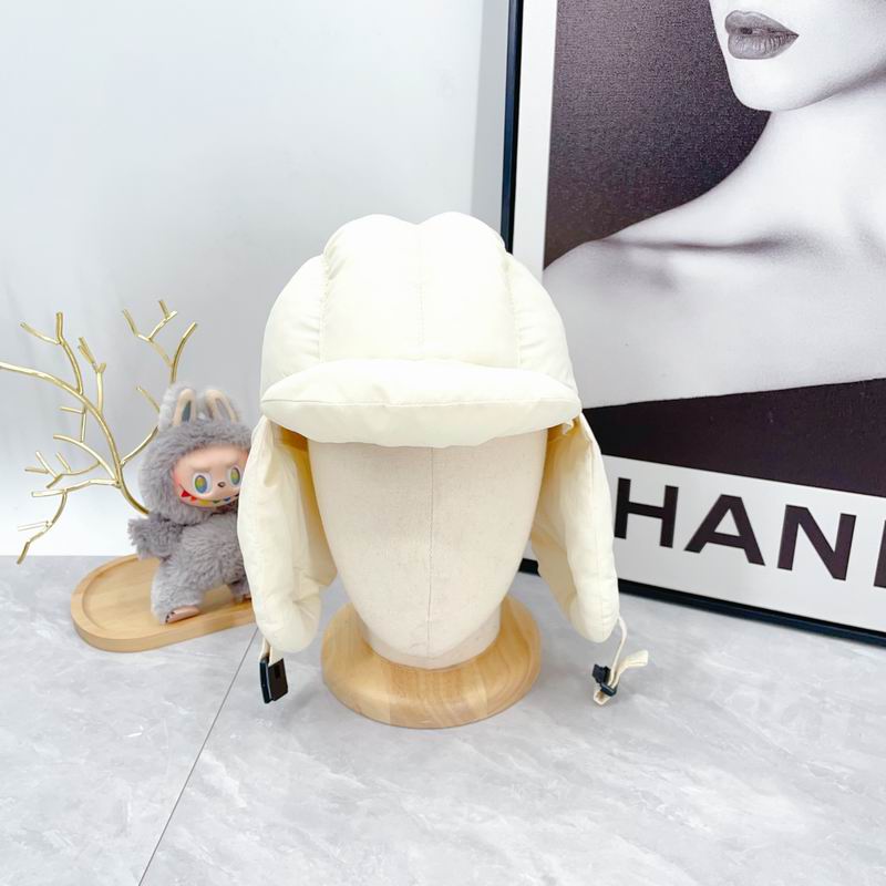 Arcteryx Hat dx (355)