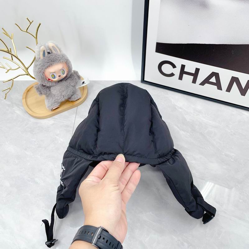 Arcteryx Hat dx (376)