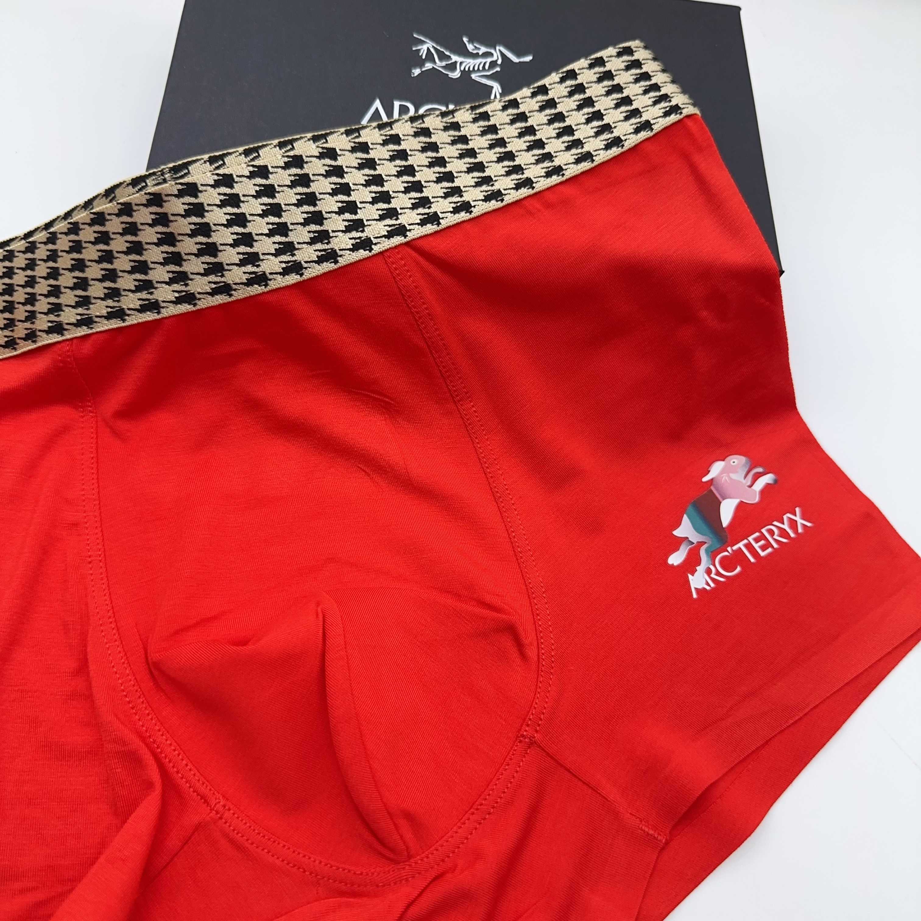 Arcteryx boxer L-3XL 03 (3)