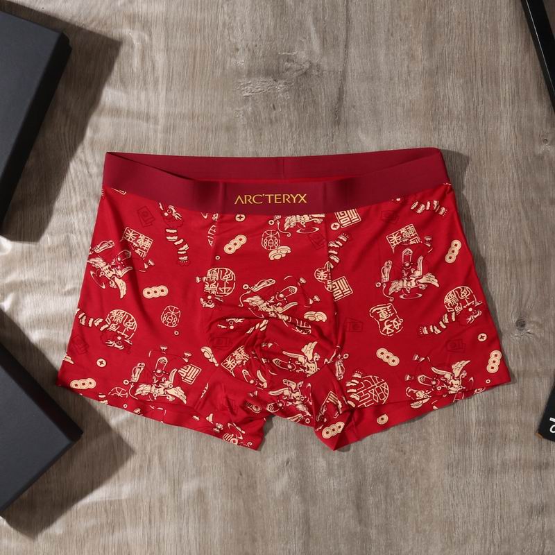 Arcteryx boxer L-4XL 30 (2)