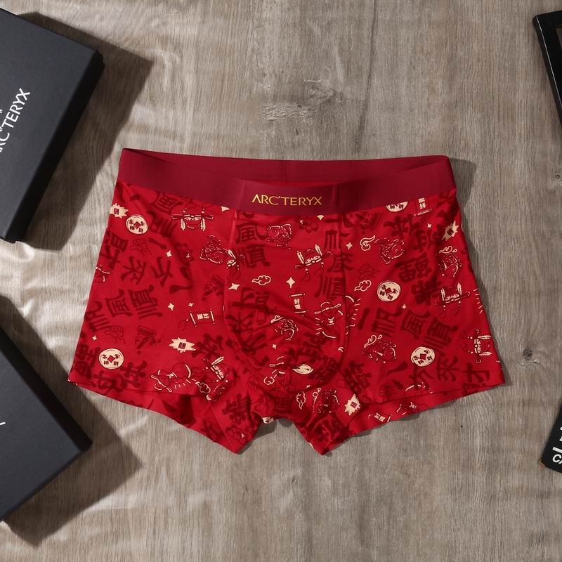 Arcteryx boxer L-4XL 30 (3)