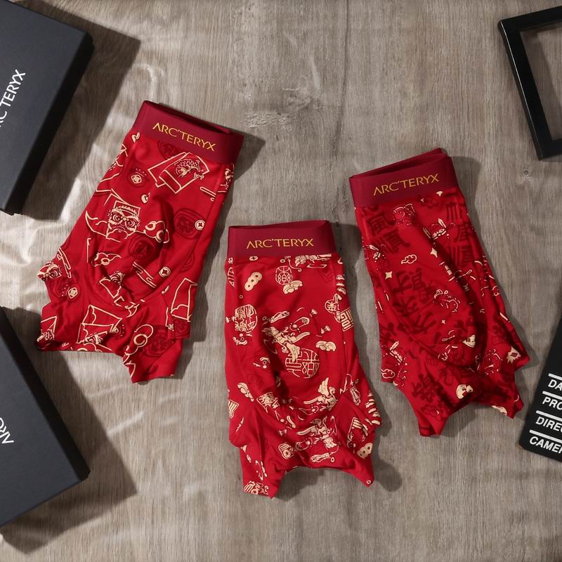 Arcteryx boxer L-4XL 30 (4)