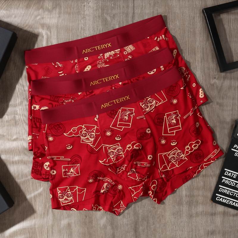Arcteryx boxer L-4XL 30 (8)