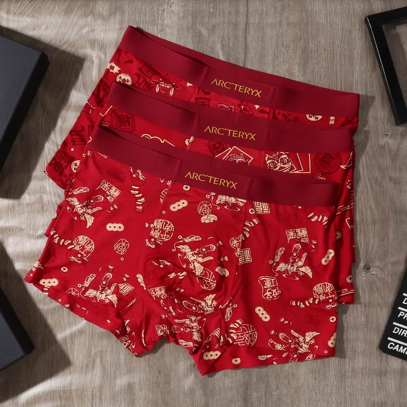 Arcteryx boxer L-4XL 30 (9)