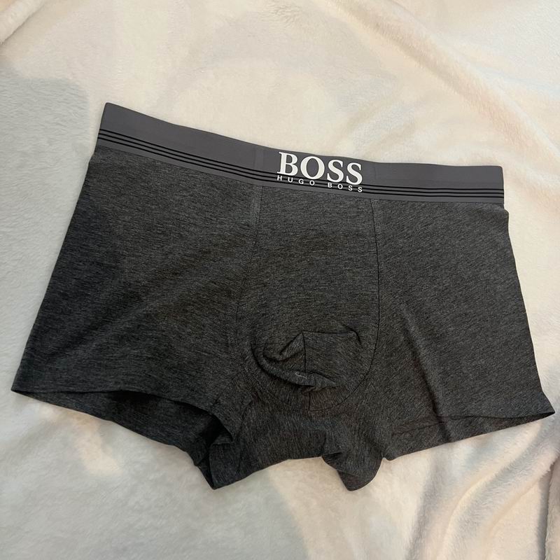 Boss boxer L-4XL 25 (7)