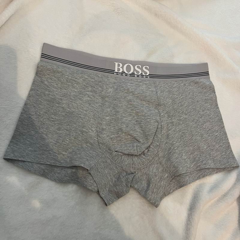 Boss boxer L-4XL 25 (8)