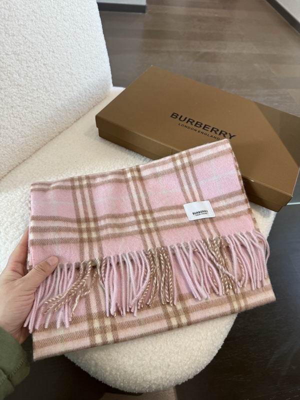 Burberry Scarf 190X36cm E02 (10)