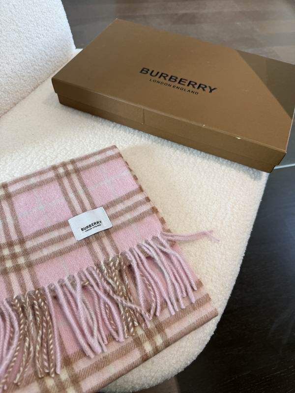 Burberry Scarf 190X36cm E02 (11)