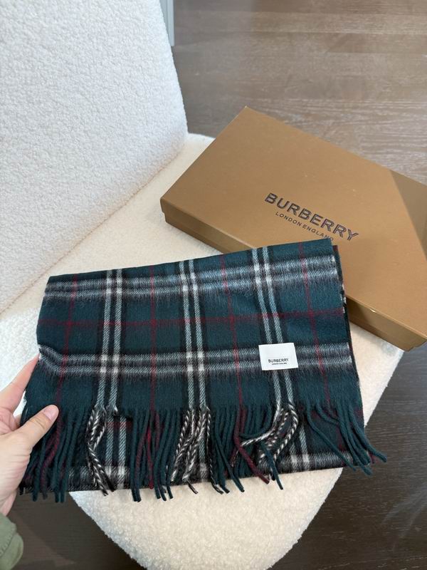 Burberry Scarf 190X36cm E02 (17)