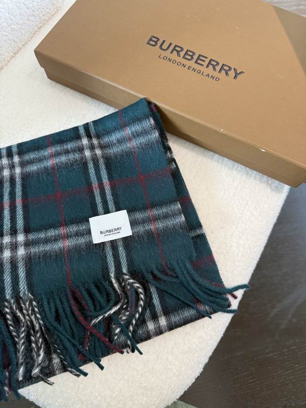 Burberry Scarf 190X36cm E02 (18)
