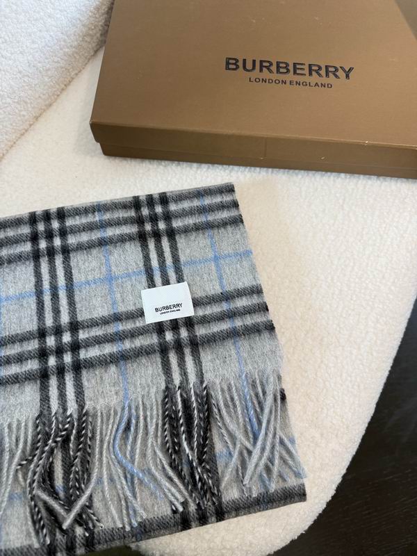 Burberry Scarf 190X36cm E02 (2)