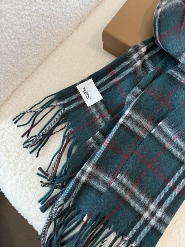 Burberry Scarf 190X36cm E02 (20)