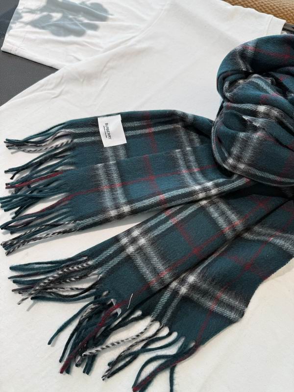 Burberry Scarf 190X36cm E02 (21)