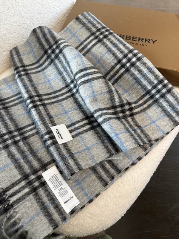 Burberry Scarf 190X36cm E02 (3)