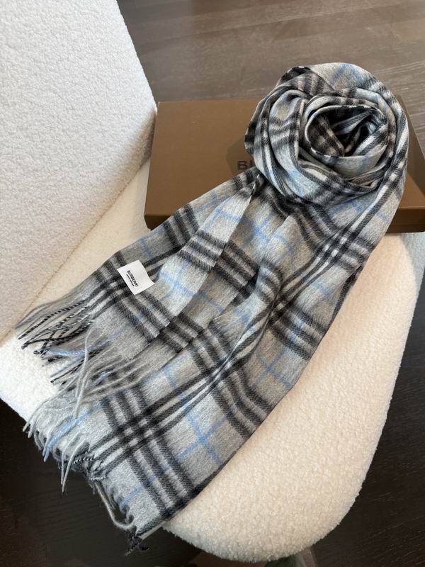 Burberry Scarf 190X36cm E02 (4)