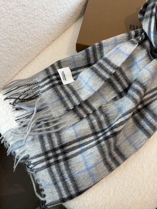 Burberry Scarf 190X36cm E02 (5)