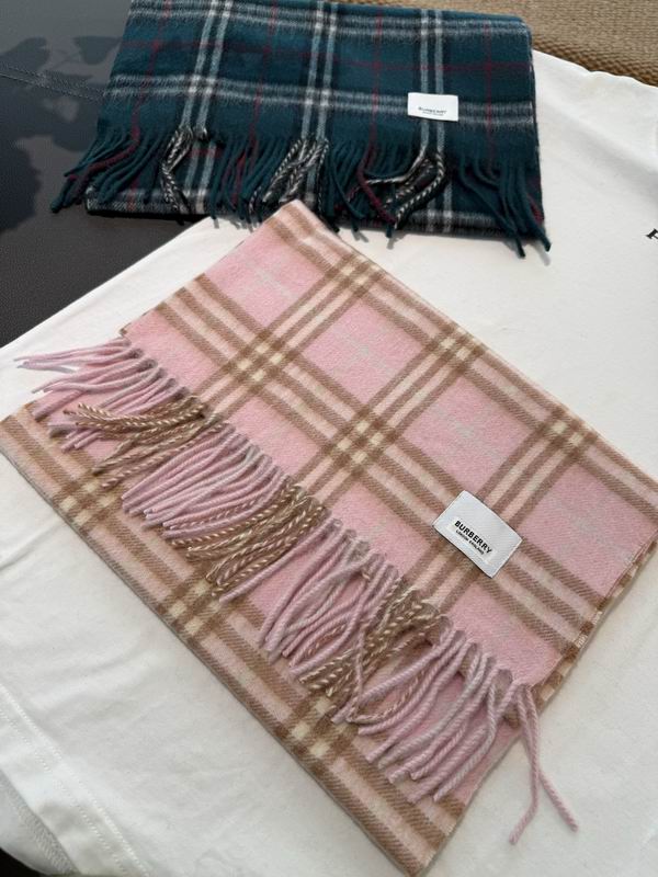 Burberry Scarf 190X36cm E02 (9)