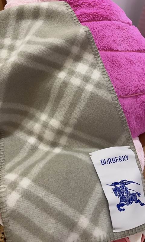 Burberry Scarf 30X180cm  E50 (1)