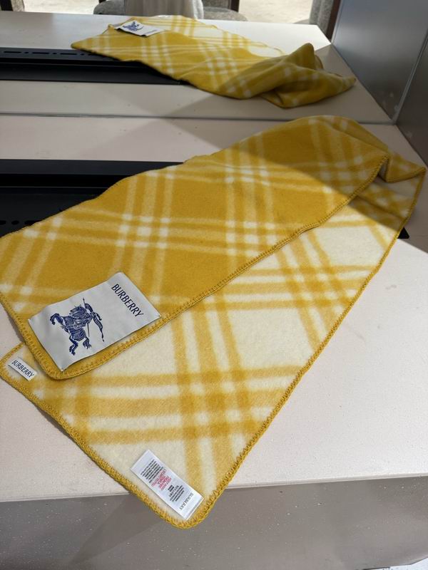 Burberry Scarf 30X180cm  E50 (13)
