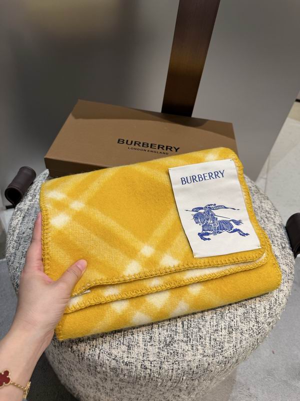 Burberry Scarf 30X180cm  E50 (15)