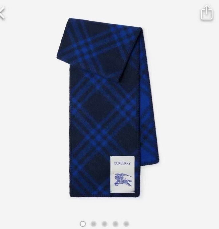 Burberry Scarf 30X180cm  E50 (22)
