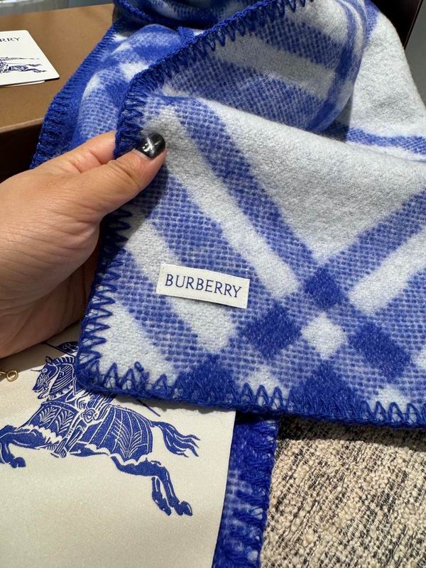 Burberry Scarf 30X180cm  E50 (4)