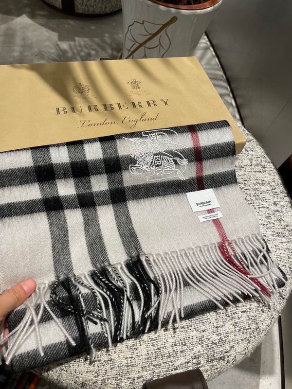 Burberry Scarf 30X180cm  E69 (34)