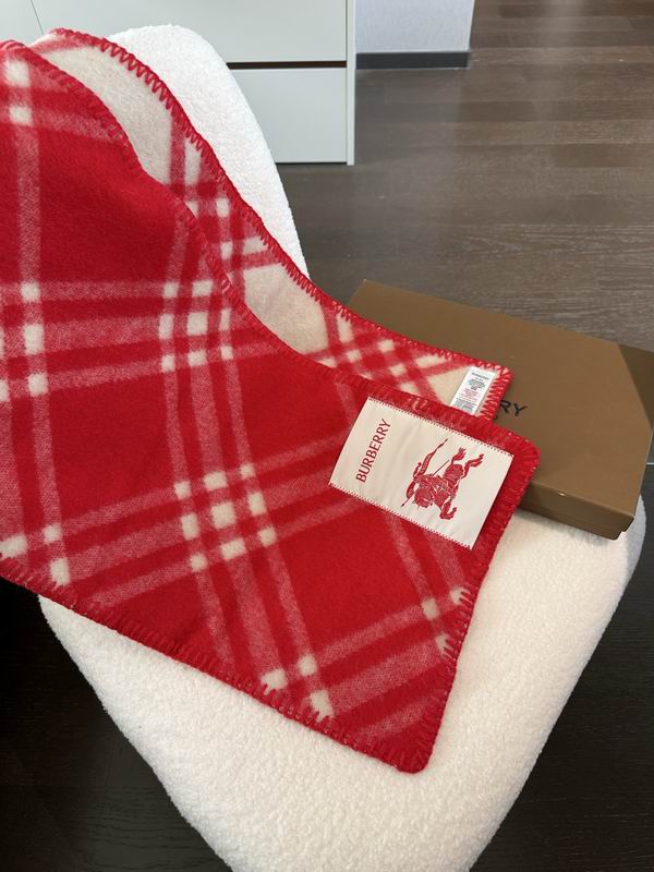 Burberry Scarf 30X180cm E05 (8)