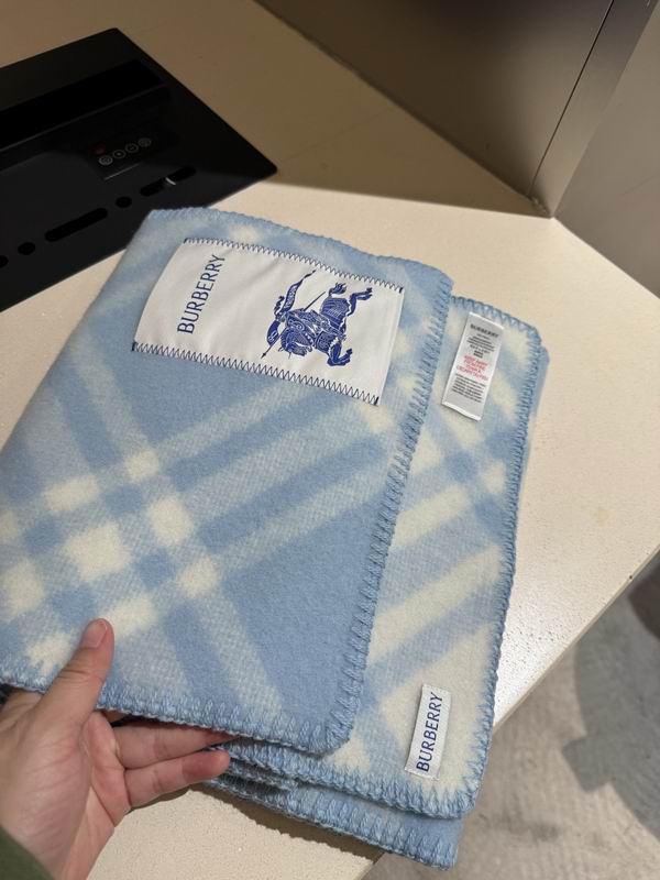 Burberry Scarf 30X180cm E62 (15)