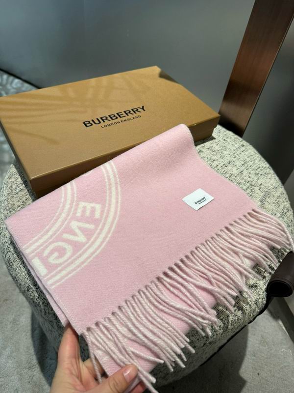 Burberry Scarf 32X192cm  E44 (6)