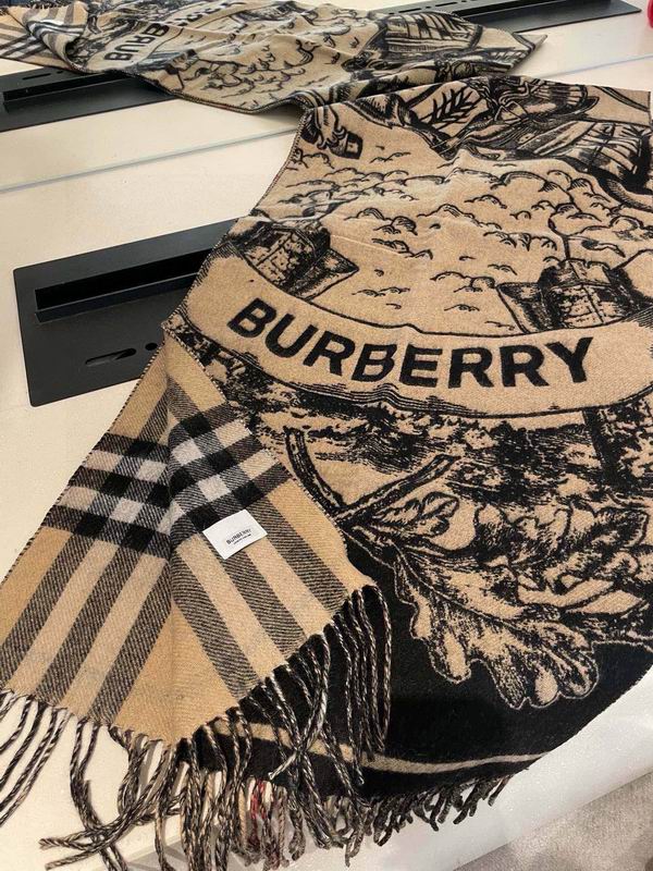 Burberry Scarf 45X210cm  E67 (14)