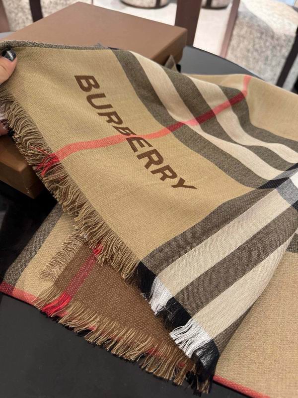 Burberry Scarf 70X220cm  E100 (14)