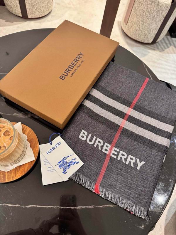 Burberry Scarf 70X220cm  E100 (6)