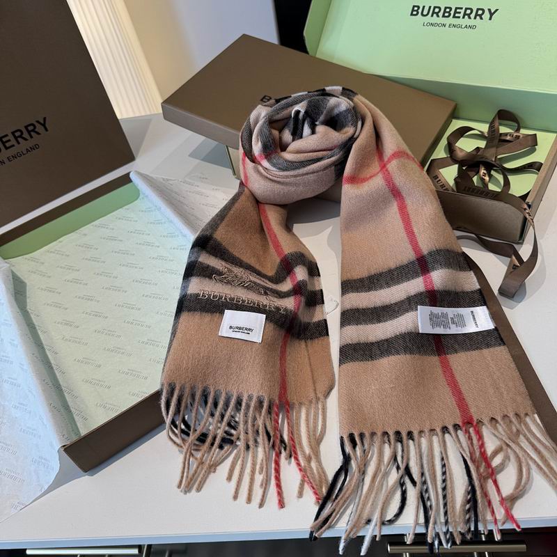 Burberry Scarf hm (37)