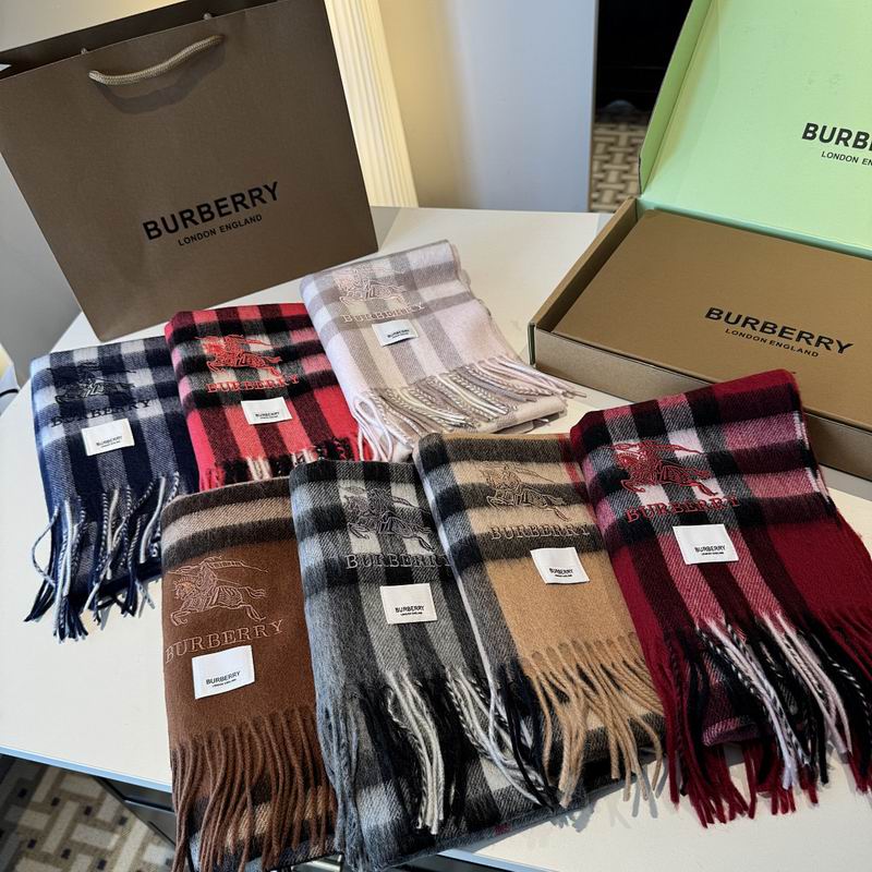 Burberry Scarf hm (41)