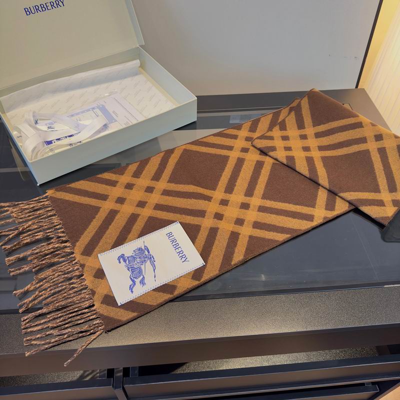 Burberry Scarf hm (42)