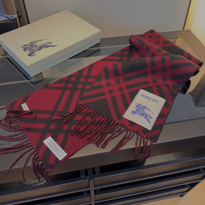 Burberry Scarf hm (46)