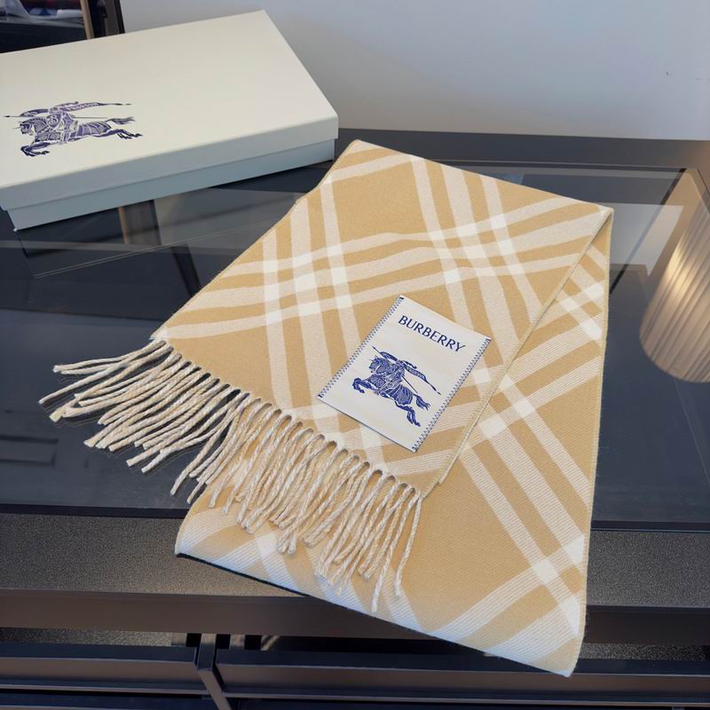 Burberry Scarf hm (50)