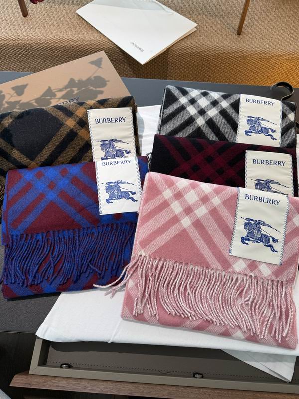 Burberry Scarf32X192cm E17 (1)