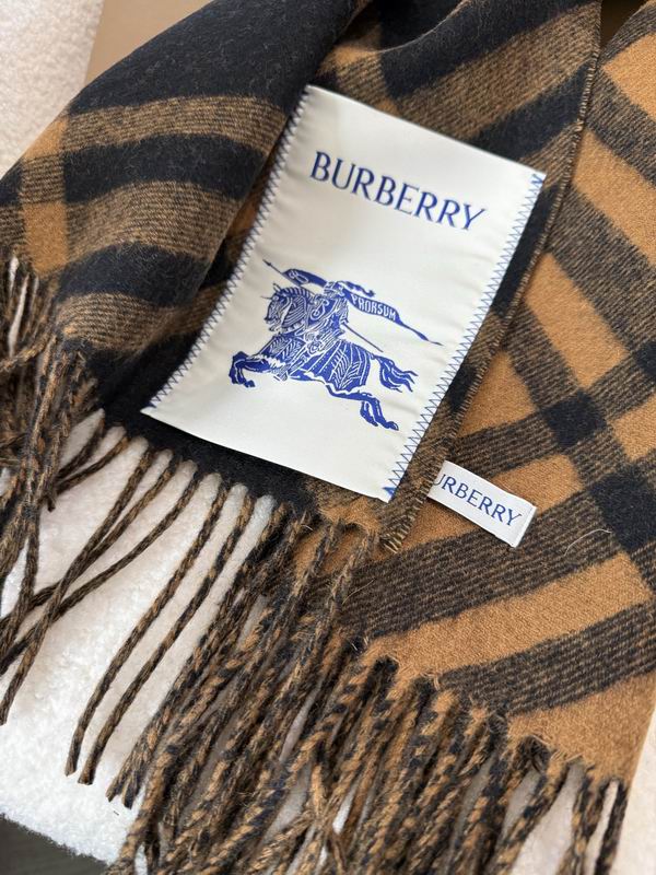 Burberry Scarf32X192cm E17 (17)