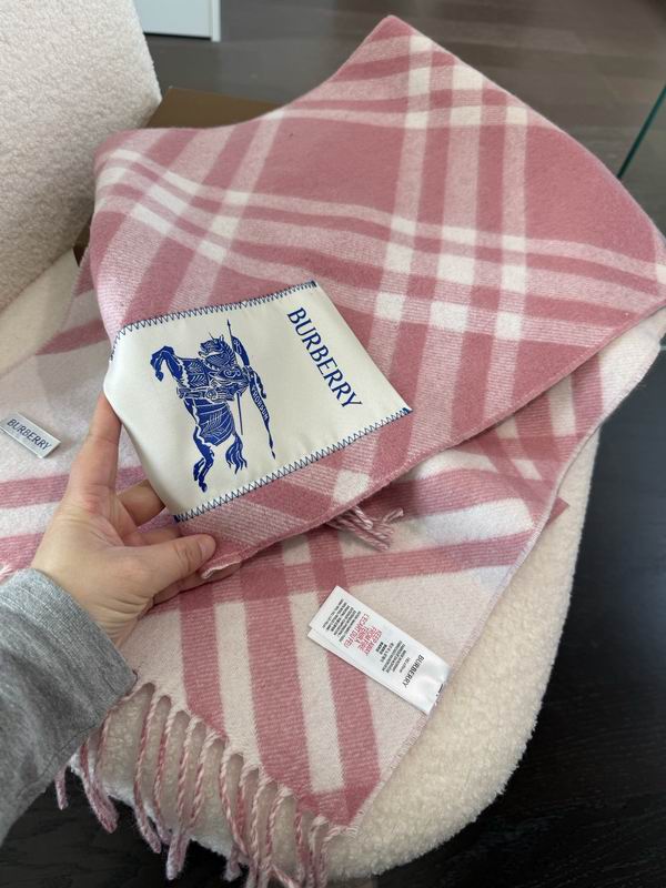 Burberry Scarf32X192cm E17 (36)