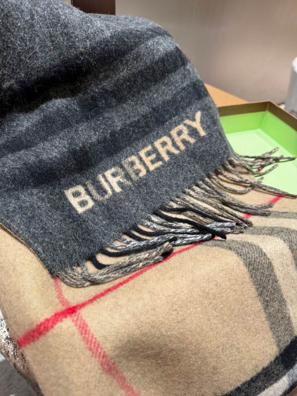 Burberry scarf 168X30cm E42 (2)