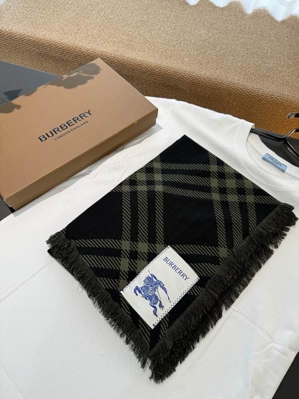 Burberry scarf 200X65cm 70%羊毛30%真丝 E37 (36)